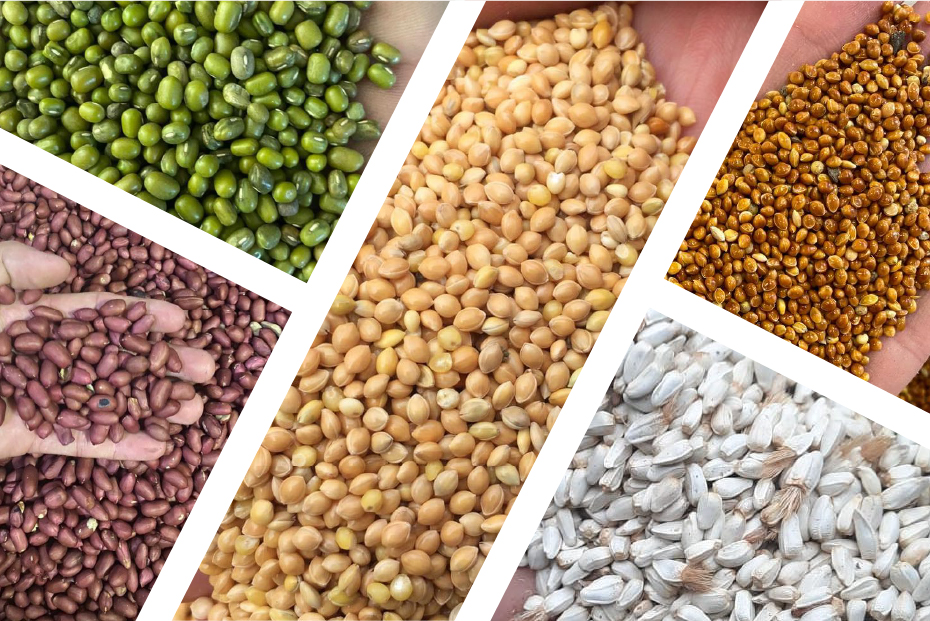 Tahıl ve bakliyat ticareti